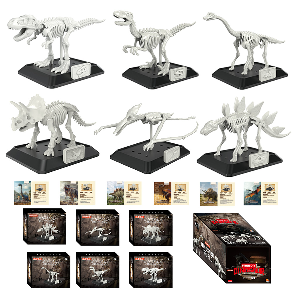 Model Kit Dinosaur - Simulation Dinosaur Fossil Plastic Skeleton Model