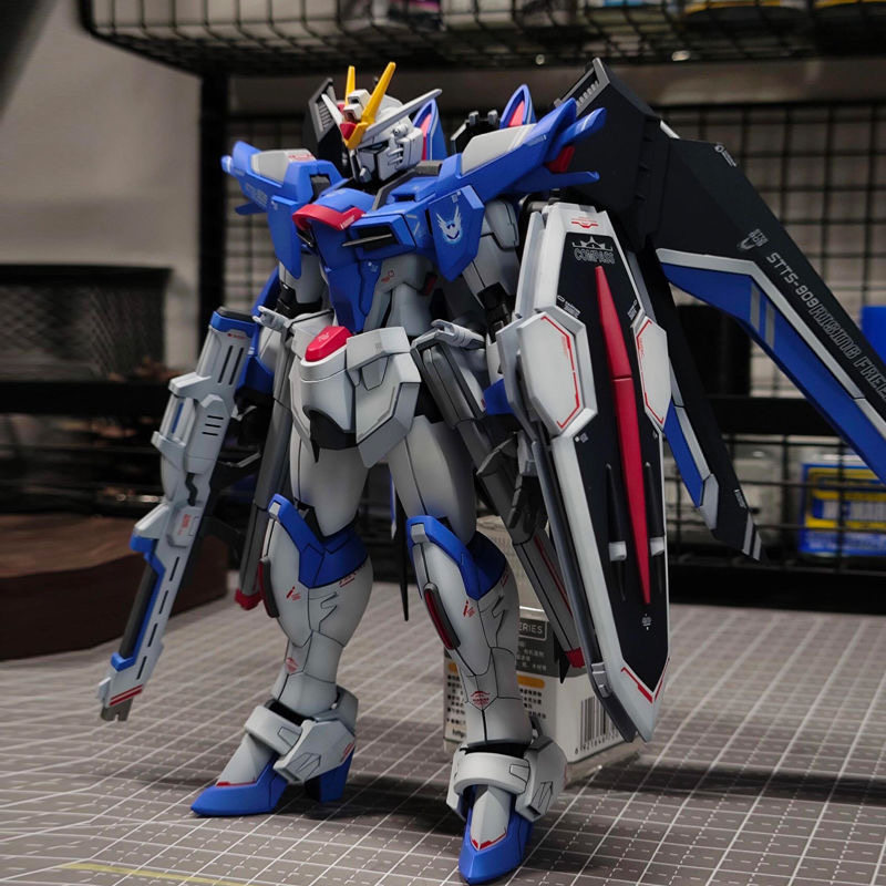 Gundam Model Mg - 1/144 HG Scale Mecha Plastic Model