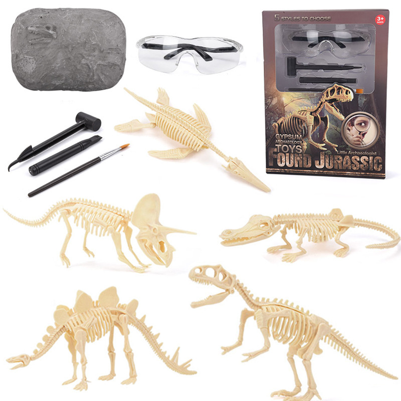 Dinosaur Fossil Excavation Kit - Model Kit Dinosaur review and price