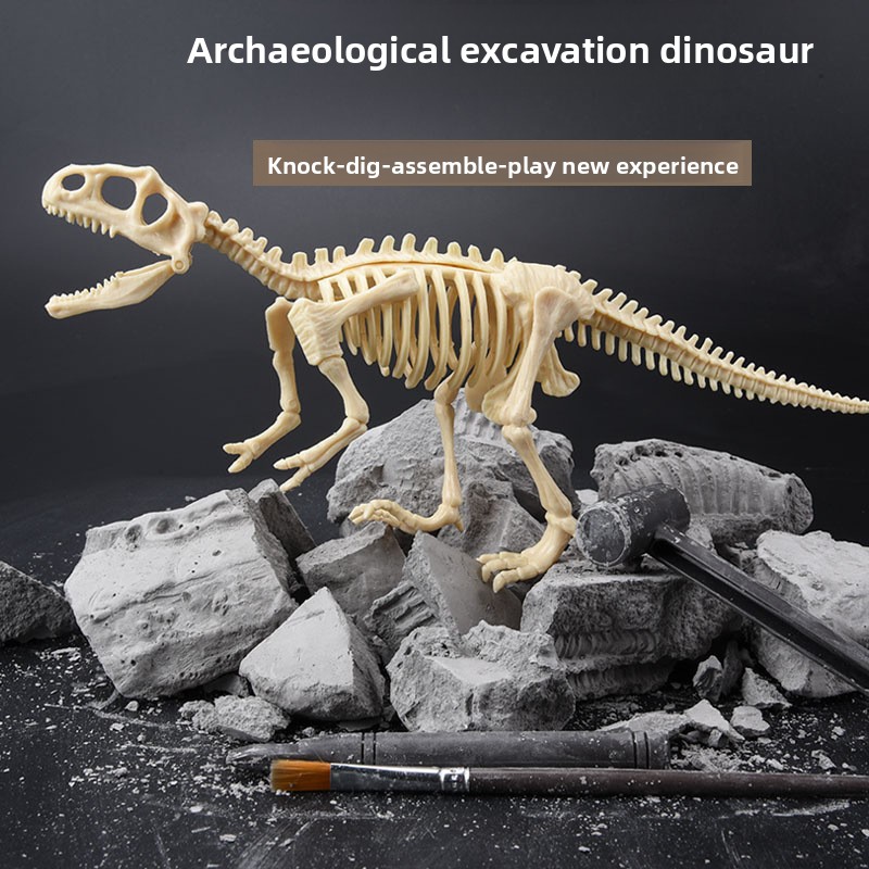 Dinosaur Fossil Excavation Kit - Model Kit Dinosaur review and price
