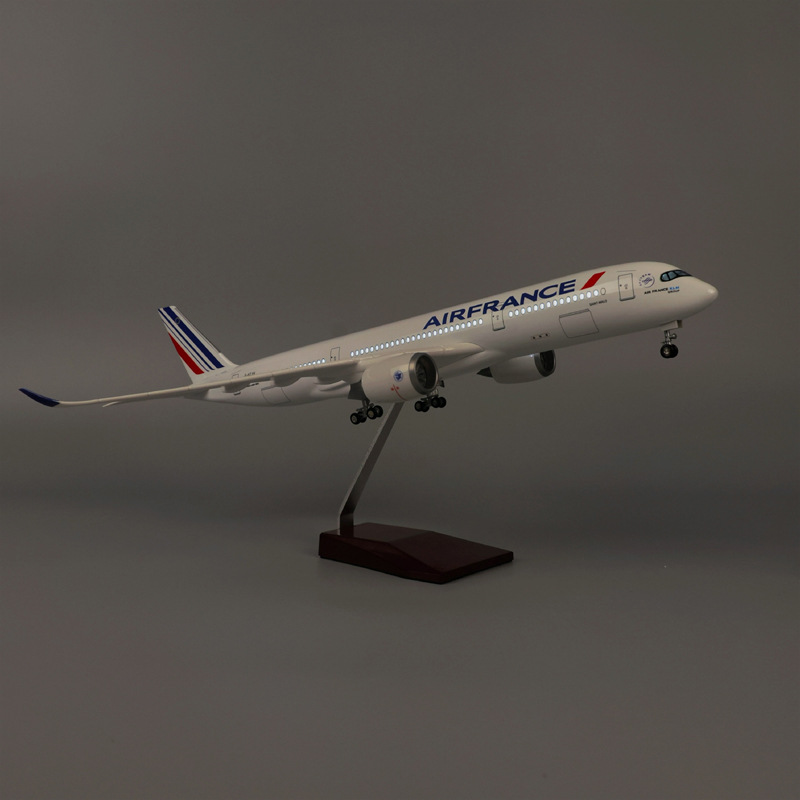 47cm Air France A350 Model Air - Model Kit Ikaruga review and price